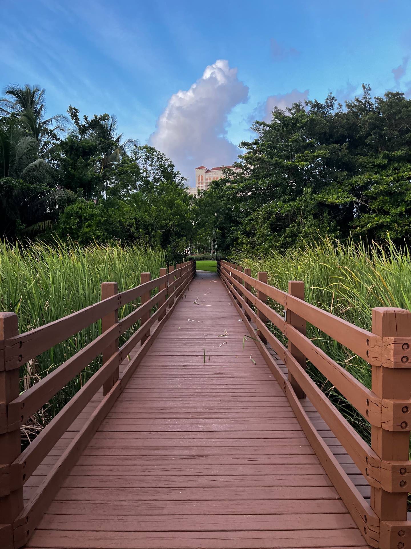 A bridge towards a town.