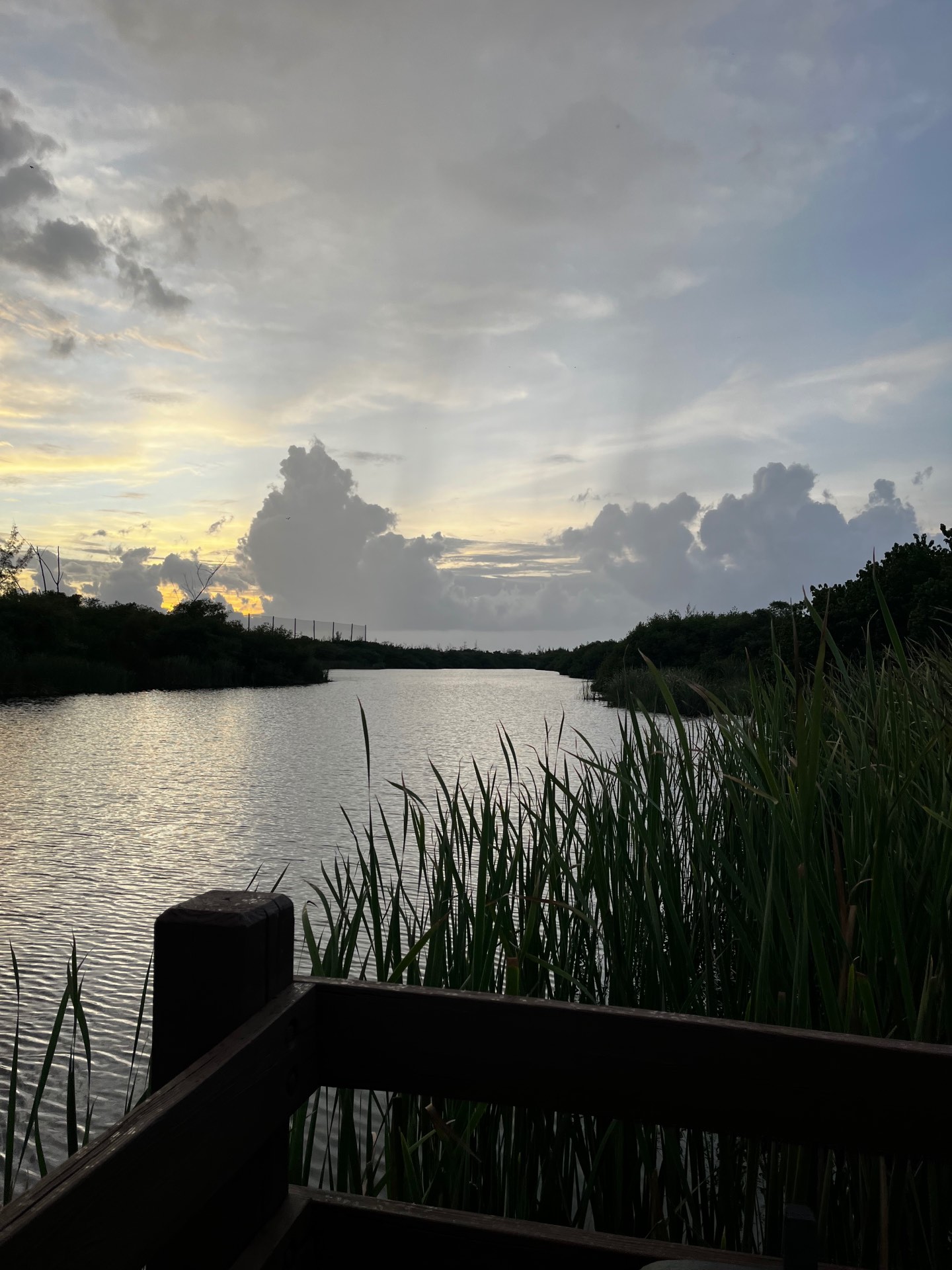 A lookout over a river.