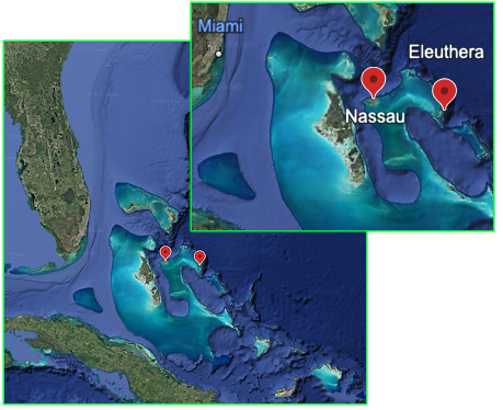 The Bahamas map showing Nassau and Eleuthera as pins on the map