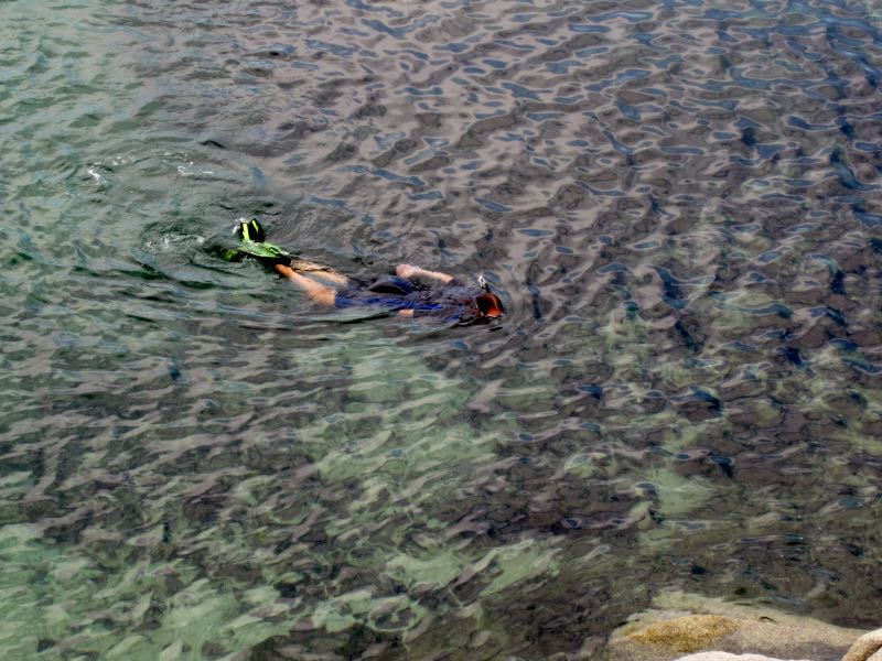 snorkling in Baja