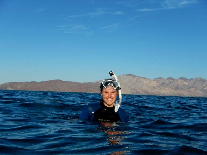 Snorkeling in the waters of Baja