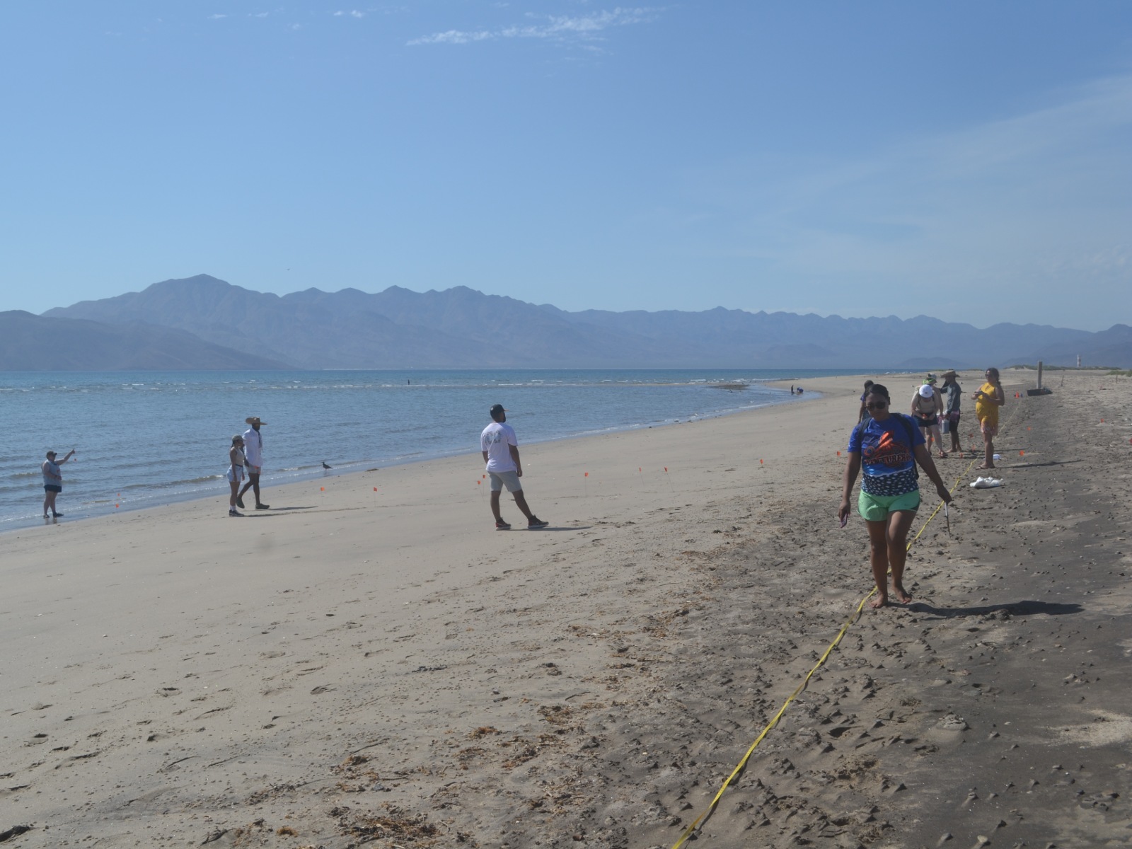 Students working on the beach