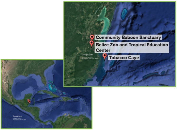 Google Earth image of Central America with three locations marked. A second image shows the marked locations close up with them being labeled Community Baboon Sanctuary, Belize Zoo and Tropical Education Center and Tobacco Caye