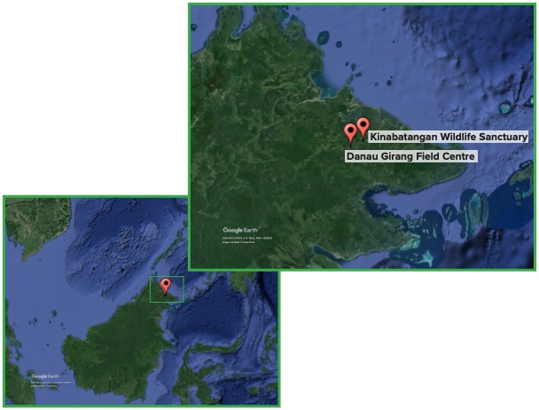Google Earth map of Borneo with two locations marked. A second image zoomed in of the marked locations labeled Kinabatangan Wildlife Sanctuary and Dana Grange Field Centre