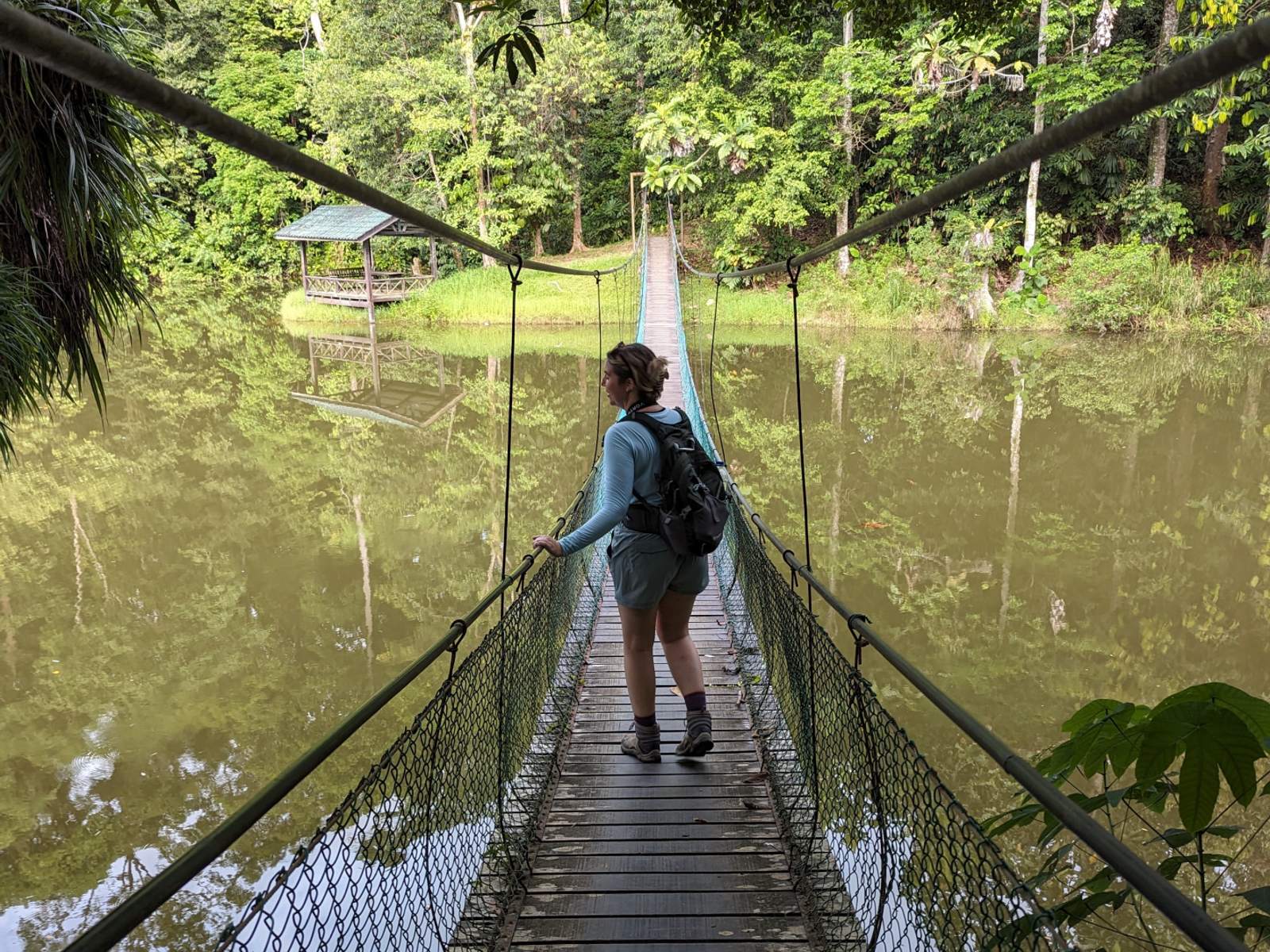 A student walking across a river on a rope bridge.