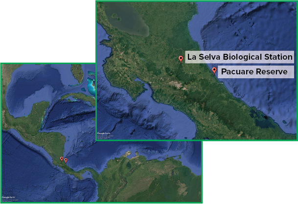 Google Earth image of Costa Rica with two locations marked. A second image shows the marked locations zoomed in and labeled La Selva Biological Station and Pacuare Reserve