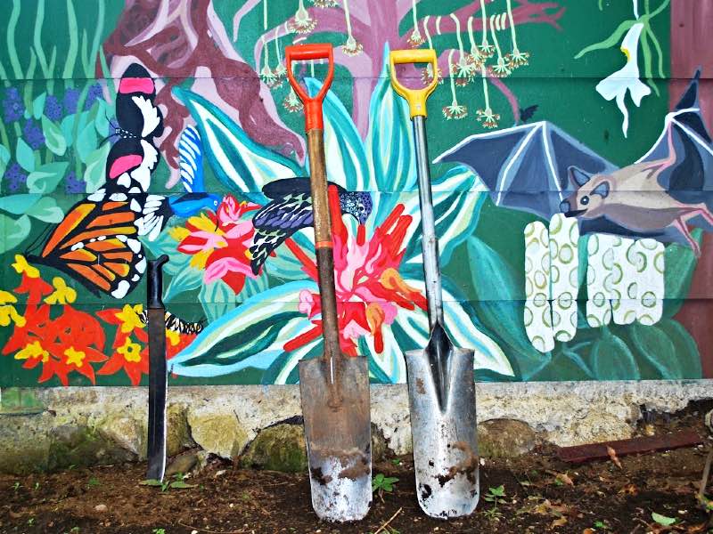 Shovels leaning against a colorful wall