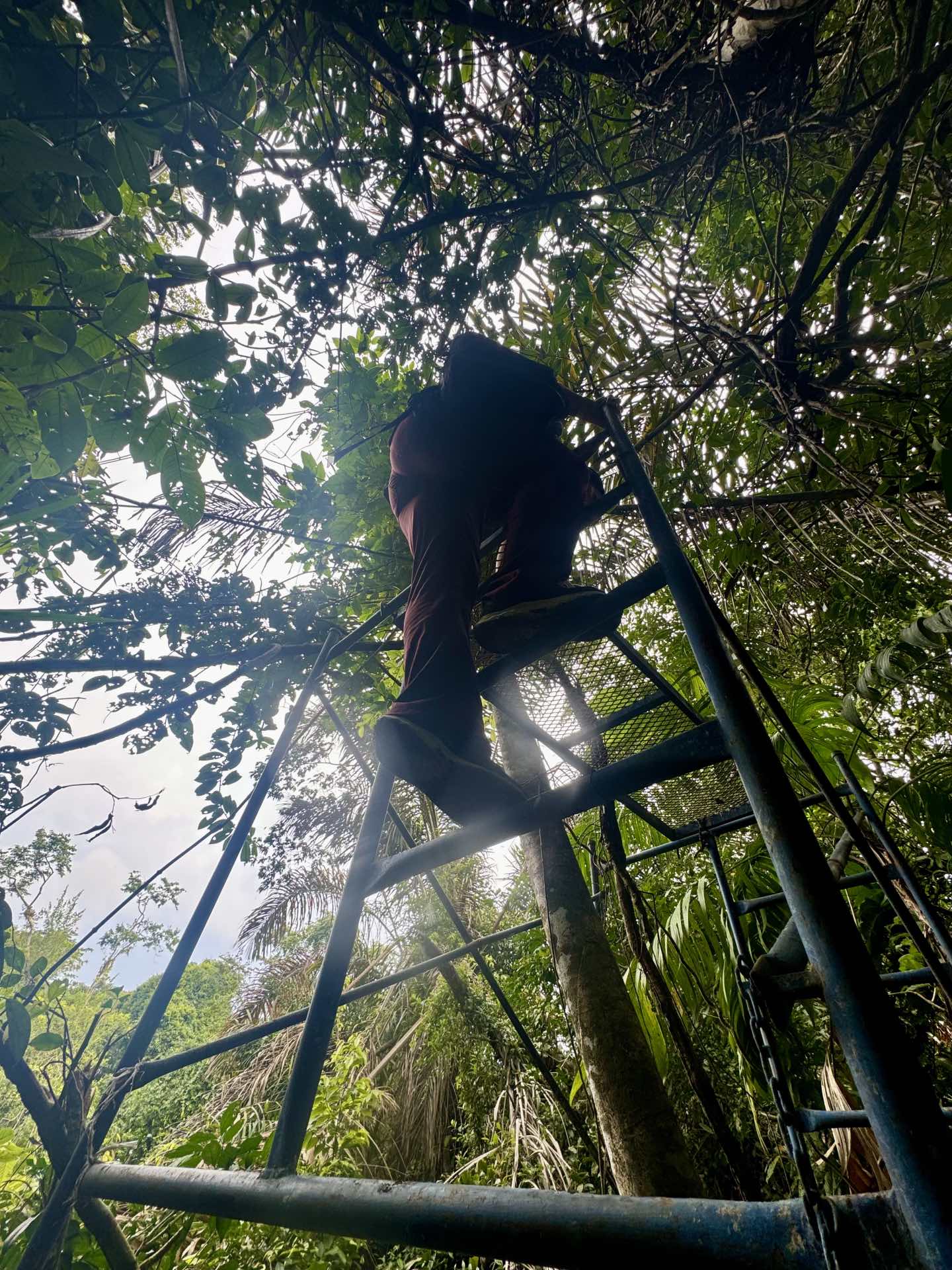 Student climbing a tree platform.