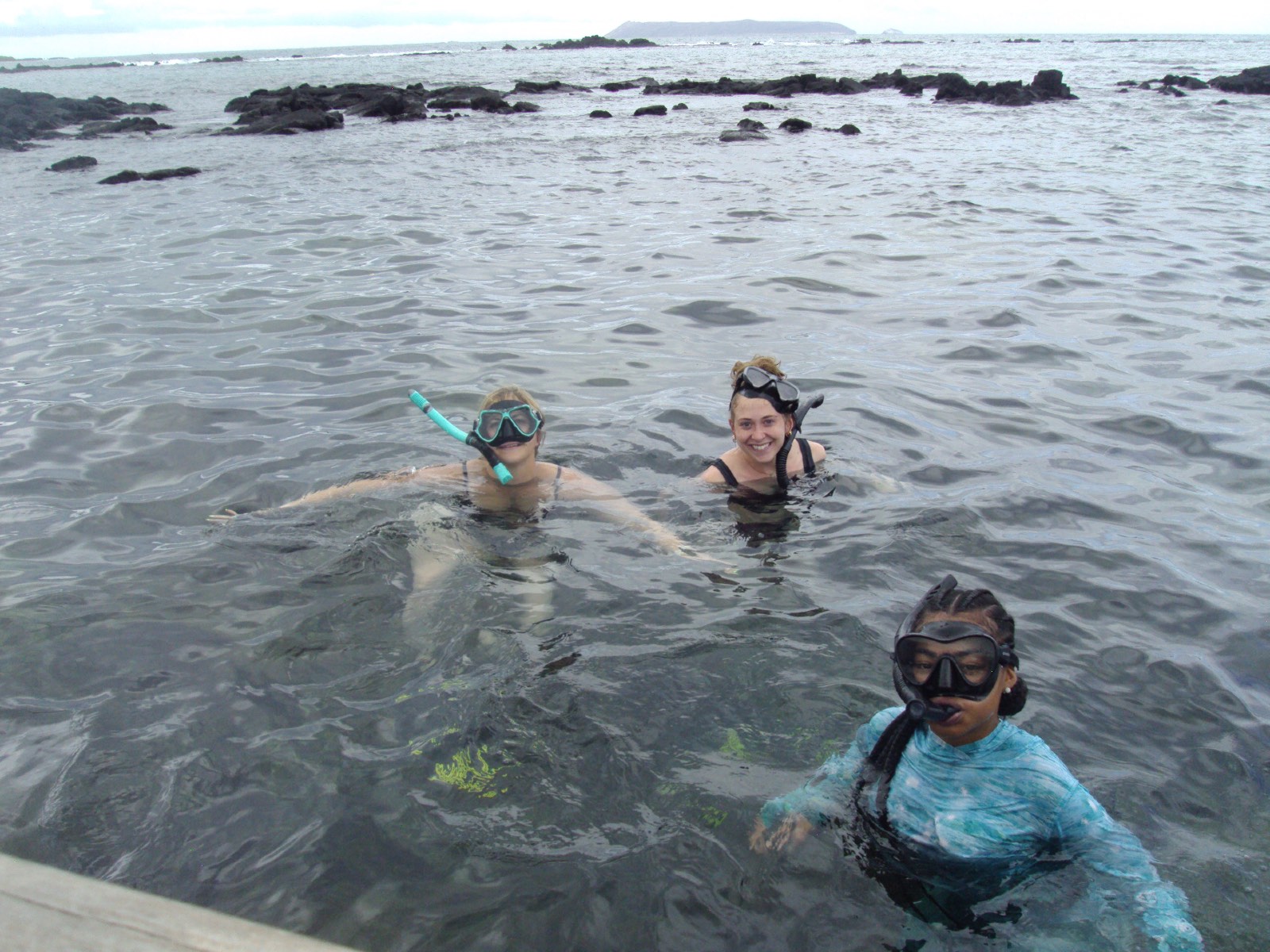 Students scuba diving.