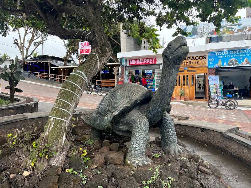 A galapagos turtle statue in the town square