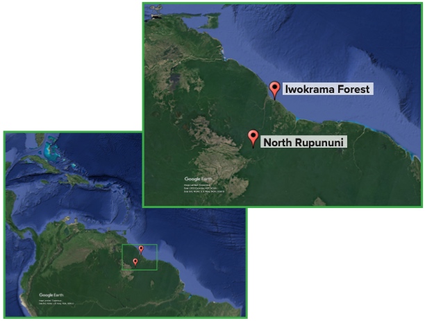 Google Earth image of Guyana with two locations marked. A second image shows the marked locations zoomed in and labeled Iwokrama Forest and North Rupununi