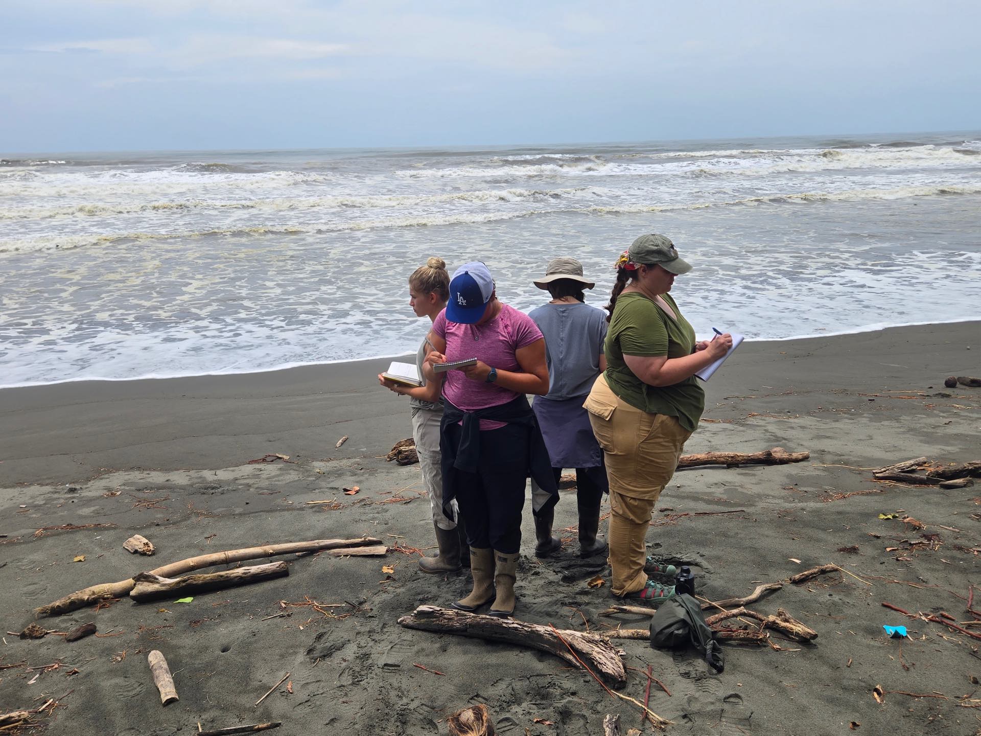 Four students standing on a beach taking notes.