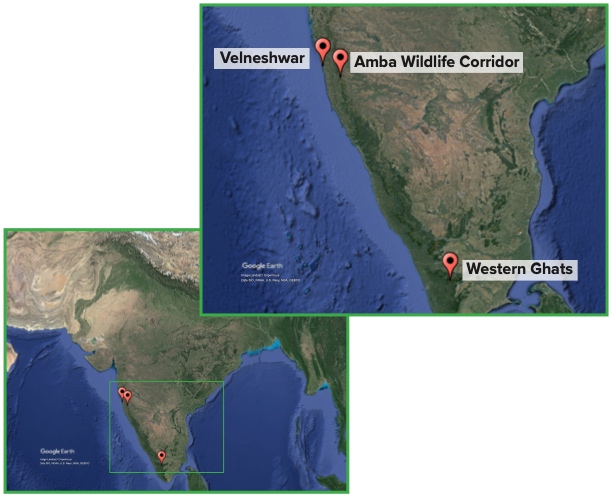 Google Earth map of India with three locations marked. A second image has the locations zoomed in and labeled Velneshwar, Amba Wildlife Corridor, and Western Ghats