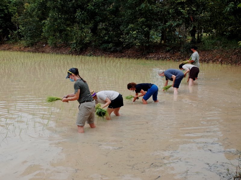 Students standing in some muddy water.