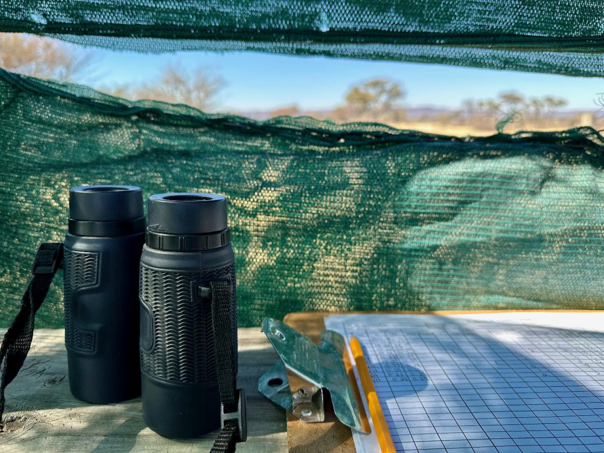 View from the blind during a 12-hour waterhole count. Students in the Earth Expeditions (EE) Namibia course with Cheetah Conservation Fund (CCF) staff conduct an annual census of wildlife on and around the CCF property. Photo by GFP graduate student Megan Swanson of La Crescenta, California.