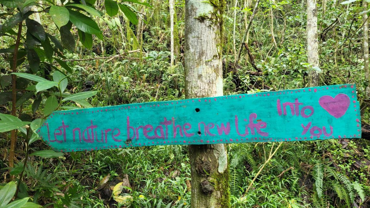 "Let nature breathe new life into you." Photo courtesy of Global Field Program student Kathy Thornton of Chestertown, Maryland, during her 2025 Earth Expeditions course in the Galápagos.