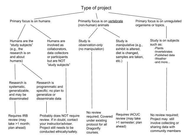 A chart showing conducting ethical research IRB review and examples
