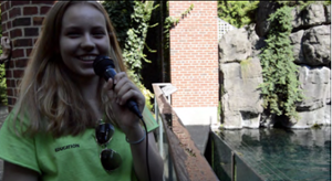 person sea talking to lion
