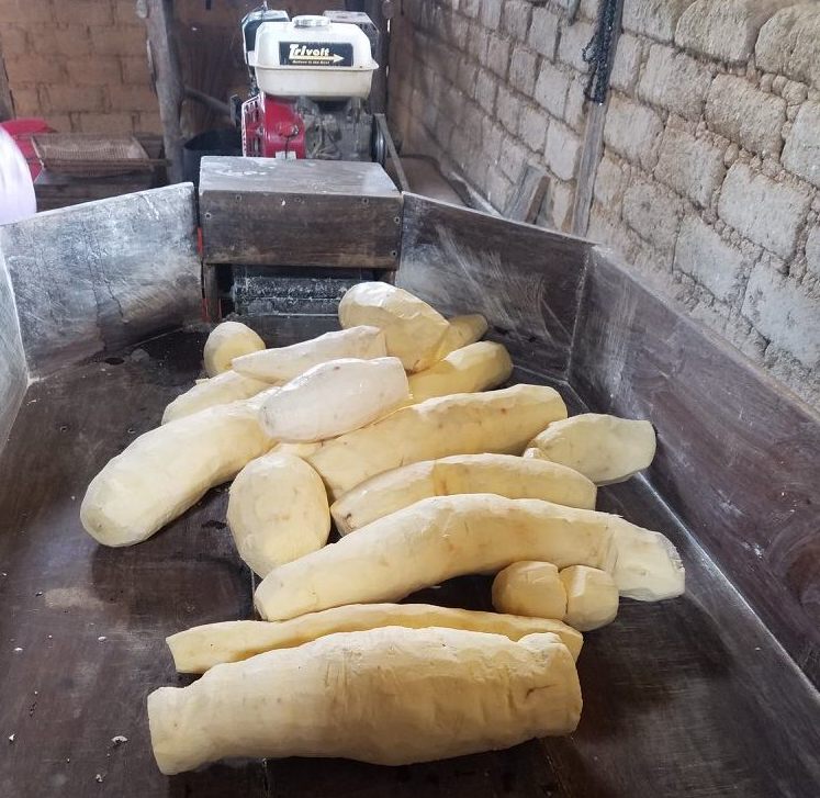 bread