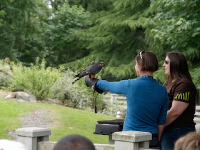 ladies looking at a bird on one of their hands