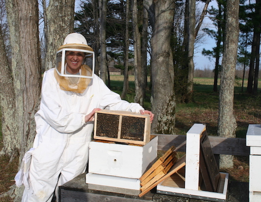 bee keeping