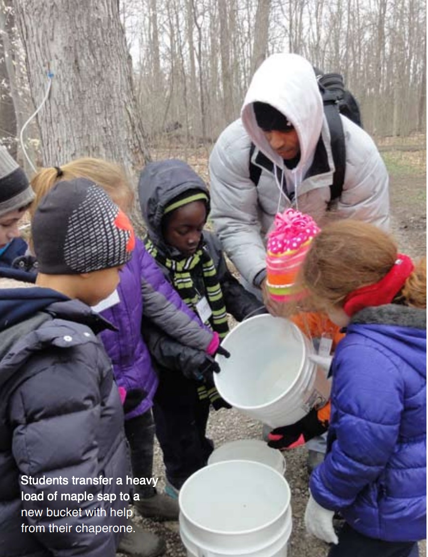 kids with maple sap