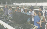 People looking in bag