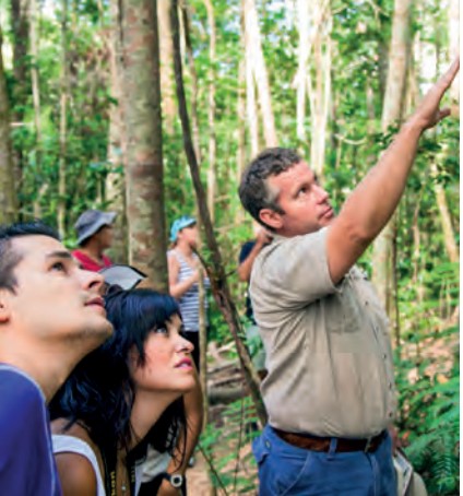 people looking at nice trees