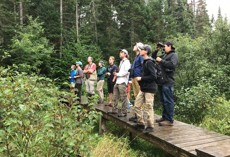 people looking at trees