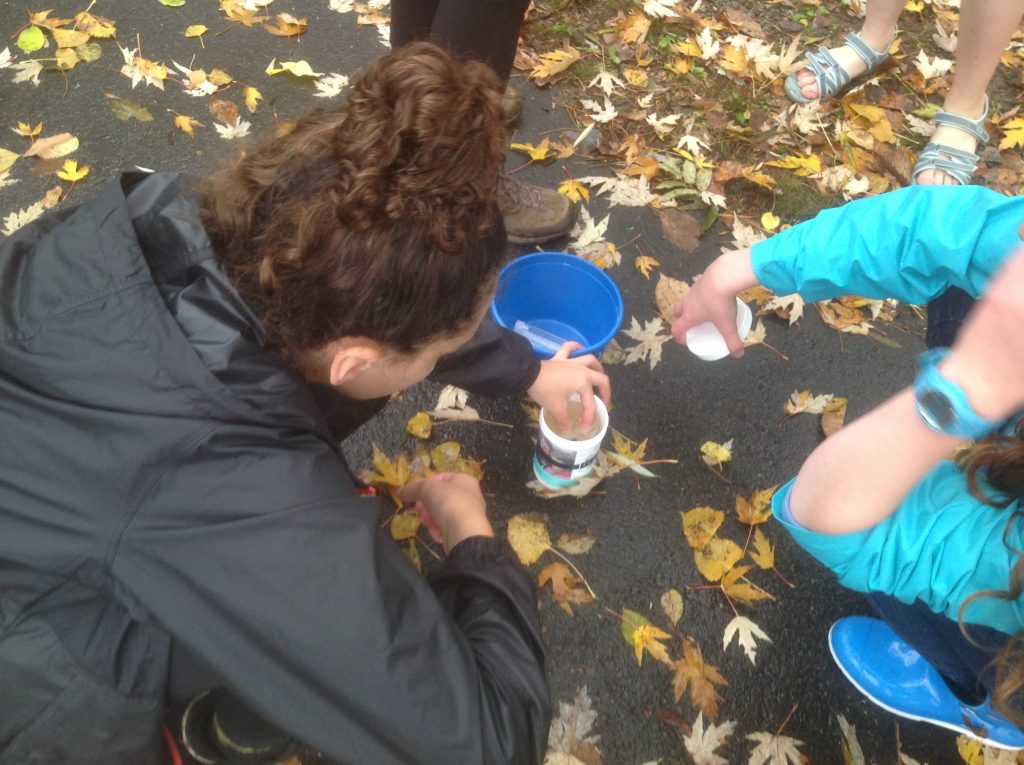 people catching leaves