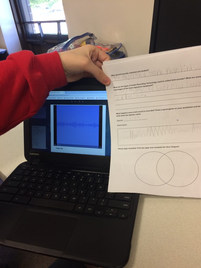 computer and paper