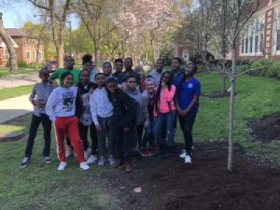 kids planting trees