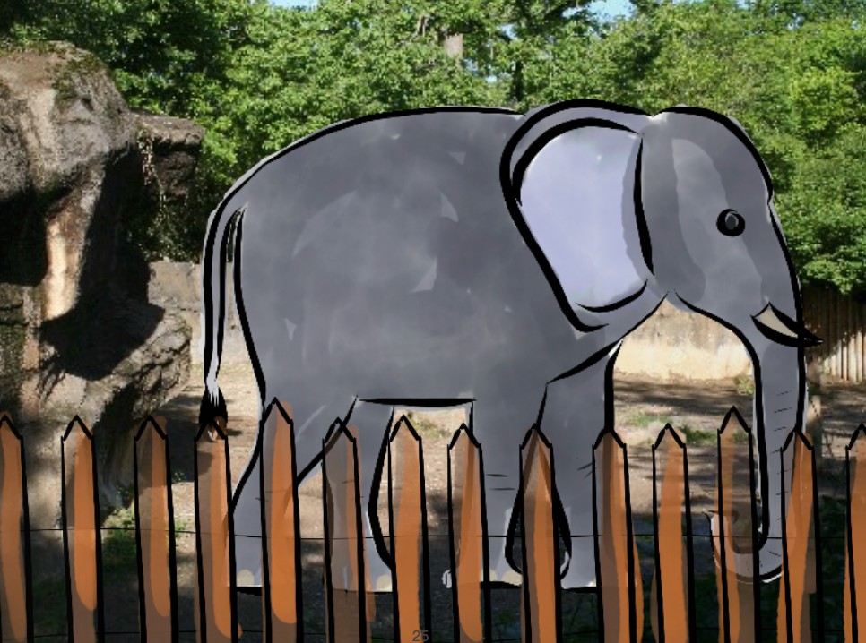 elephants