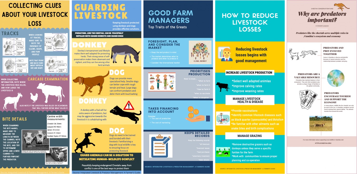 ccf infographics 