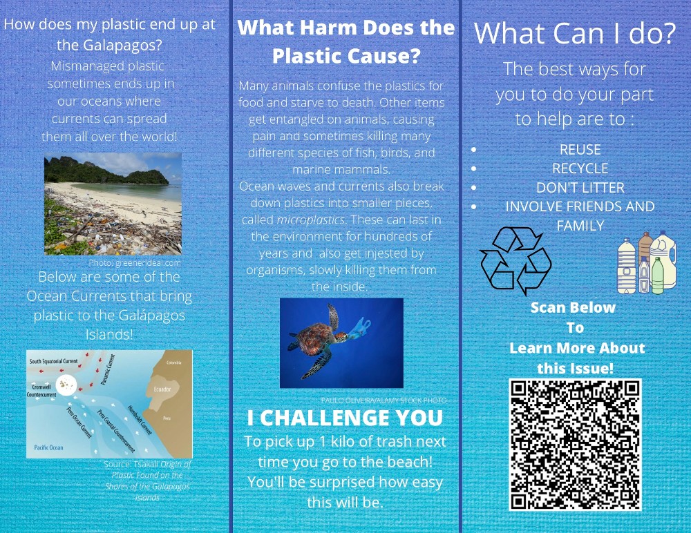 daini grant infographic