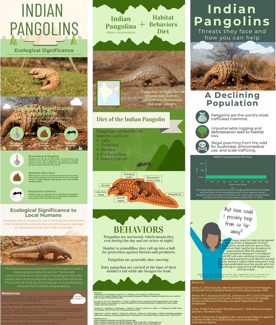pangolins