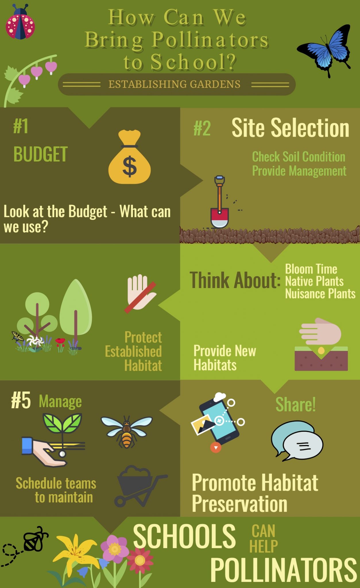 infographic