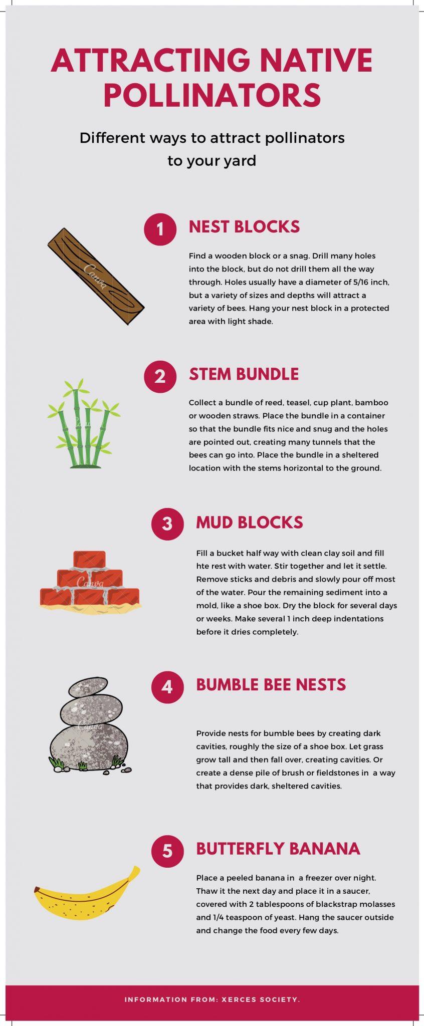 Attracting native pollinators. Different ways to attract pollinators to your yard. 1: Nest Blocks. Find a wooden block or snag. Drill many holes into the block, but do not drill them all the way through. Holes usually have a diameter of 5/16 inch, but a variety of sizes and depths will attract a variety of bees. Hang your nest block in a protected area with light shade. 2: Stem Bundle. Collect a bundle of reed, teasel, cup plant, bamboo or wooden straws. Place the bundle in a container so that the bundle fits nice and snug and the holes are pointed out, creating many tunnels that the bees can go into. Place the bundle in a sheltered location with the stems horizontal to the ground. 3: Mud Blocks. Fill a bucket half way with clean clay soil and fill the rest with water. Stir together and let it settle. Remove sticks and debris and slowly pour off most of the water. Pour the remaining sediment into a mold, like a shoe box. Dry the block for several days or weeks. Make several 1 inch deep indentations before it dries completely. 4: Bumble Bee Nests. Provide nests for bumble bees by creating dark cavities, roughly the size of a shoe box. Let grass grow tall and then fall over, creating cavities. Or create a dense pile of brush or fieldstones in a way that provides dark, sheltered cavities. 5: Butterfly Banana. Place a peeled banana in a freezer overnight. Thaw it the next day and place it in a saucer covered with 2 tablespoons of blackstrap molasses and ¼ teaspoon yeast. Hang the saucer outside and change the food every few days.