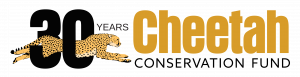 cheete anniversary logo