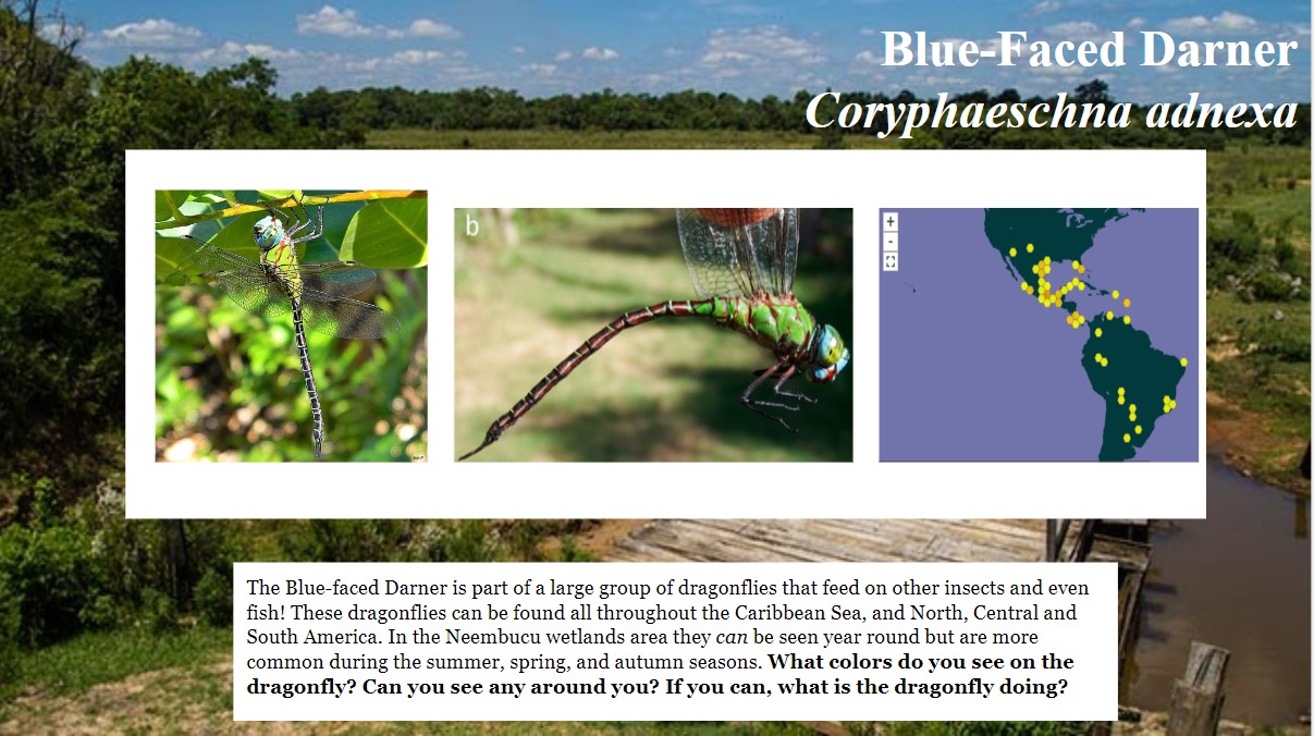 Interpretive Signs 3