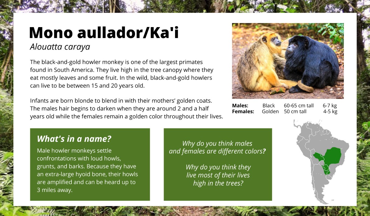 Interpretive Signs 2