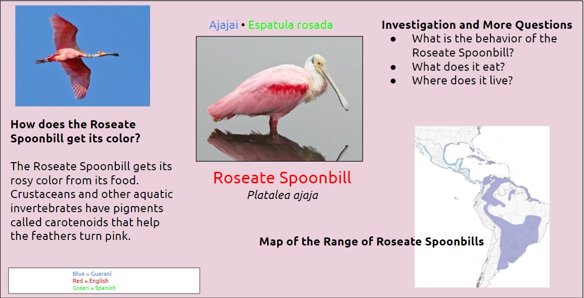 Interpretive Signs 4