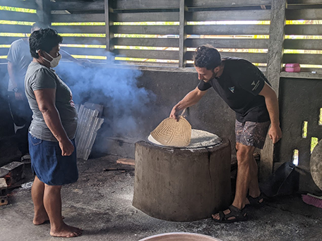 cassava