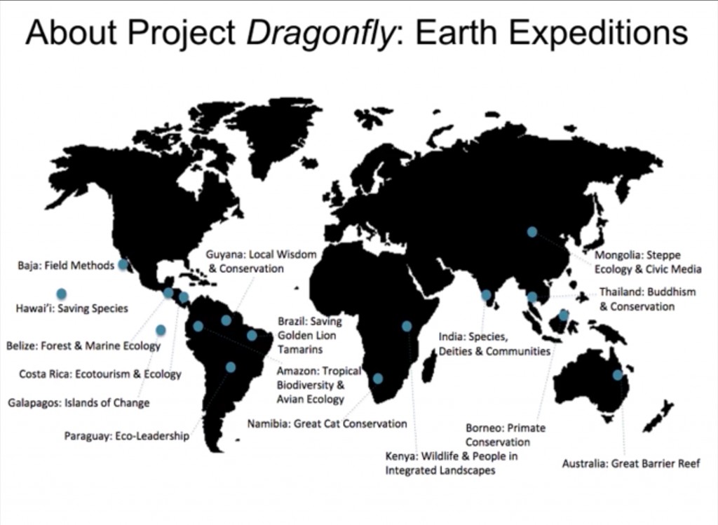 dragonfly map