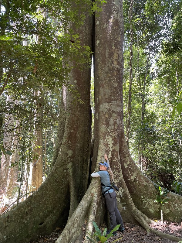 women hugging a tree