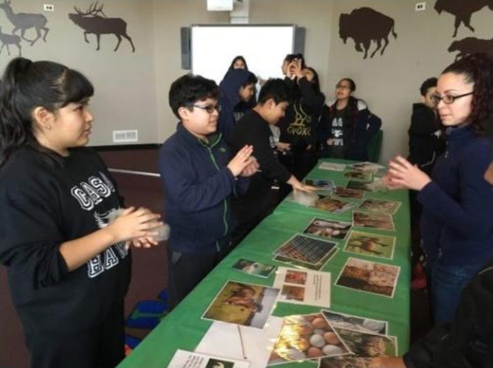 Navigating Inquiry-Based Instruction