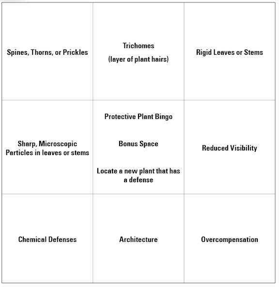 Protective Plant Bingo Cards