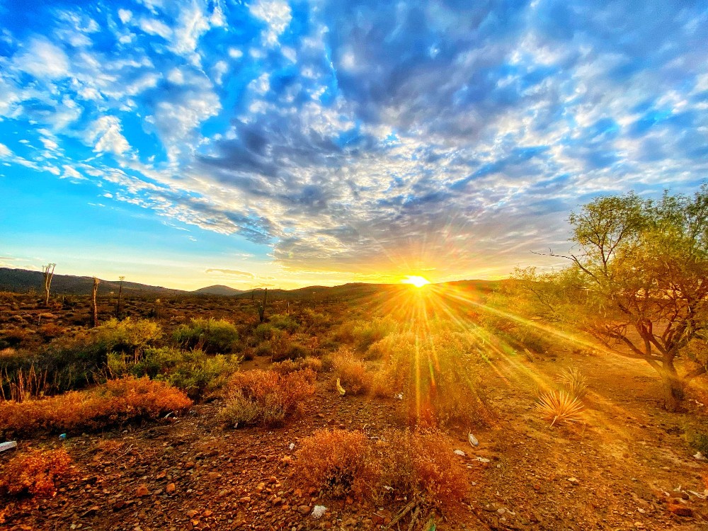 really nice sunset