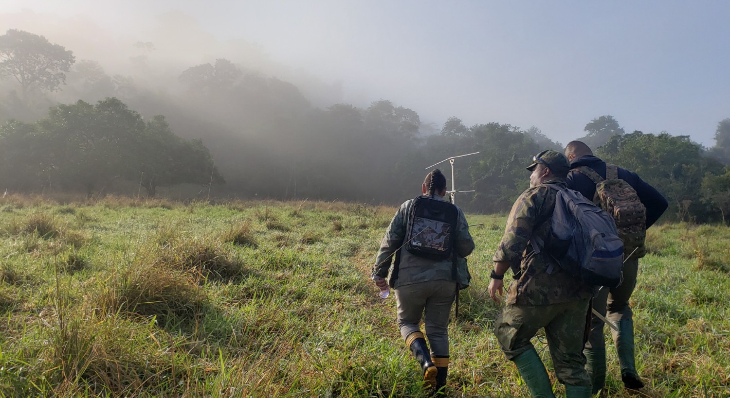 students hiking 