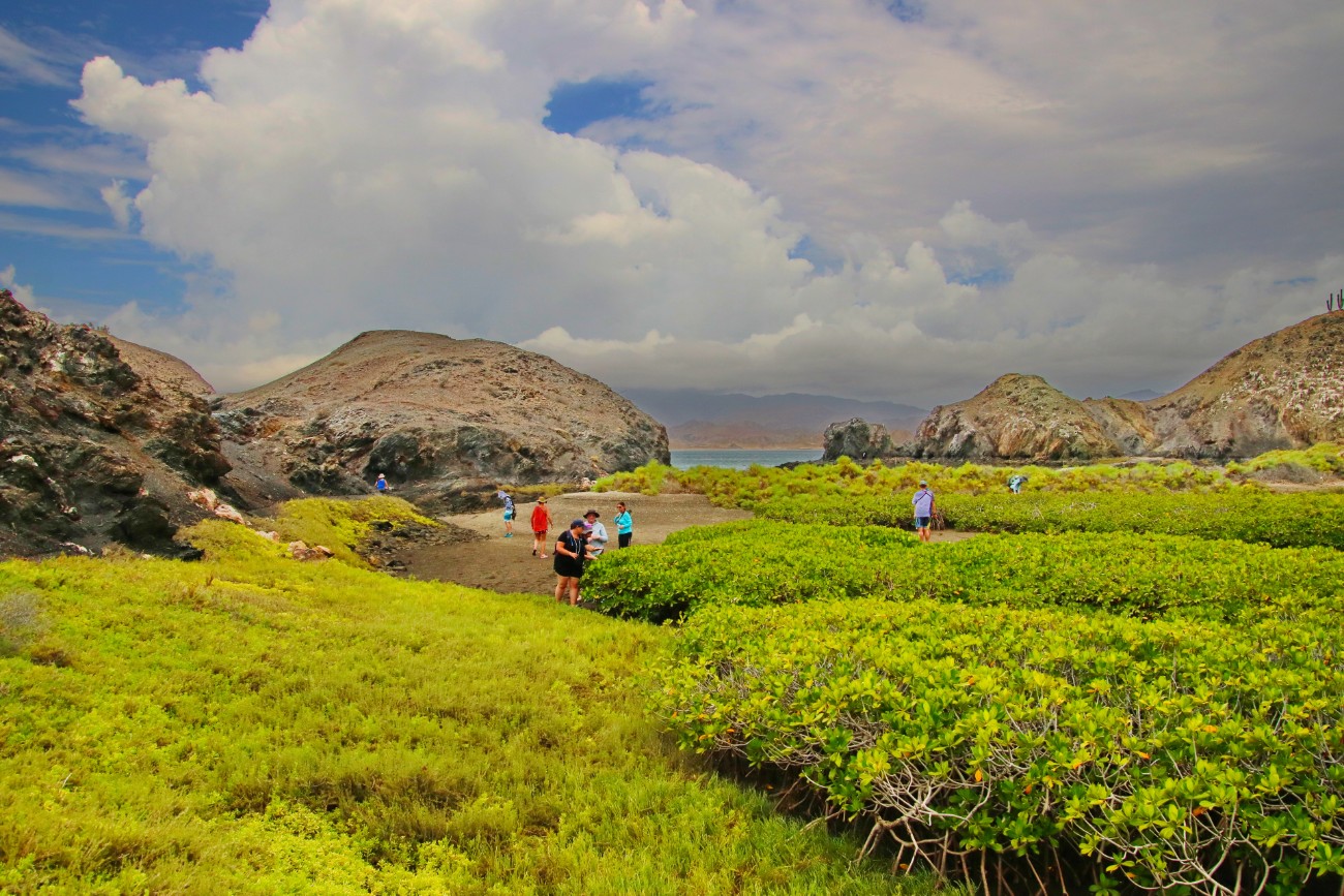 Earth Expeditions students investigating mangrove ecosystems on an island in the Gulf of California
